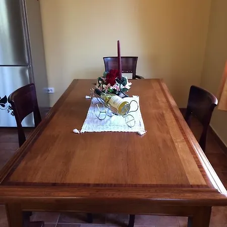 Under The Walnut Tree Várna