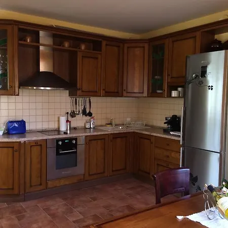 Under The Walnut Tree * Várna