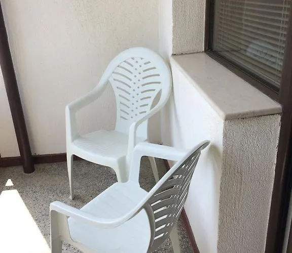 Under The Walnut Tree * Варна